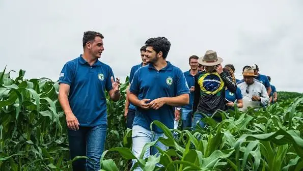 Grupo caminhando entre o milho num dia de campo
